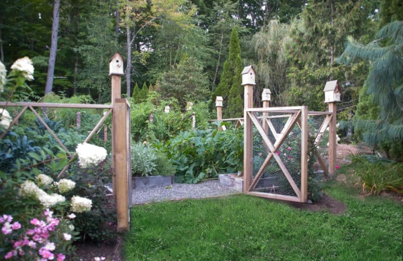 vegetable-garden-design