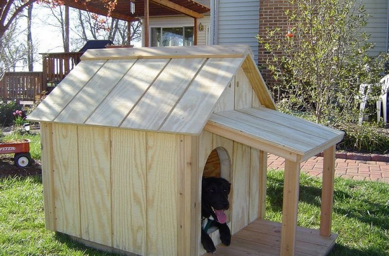 1451223898_sparky1-dog-house