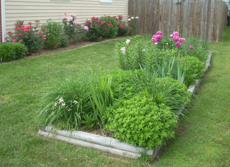 border-rose-garden-beds