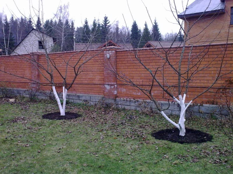 20042010308