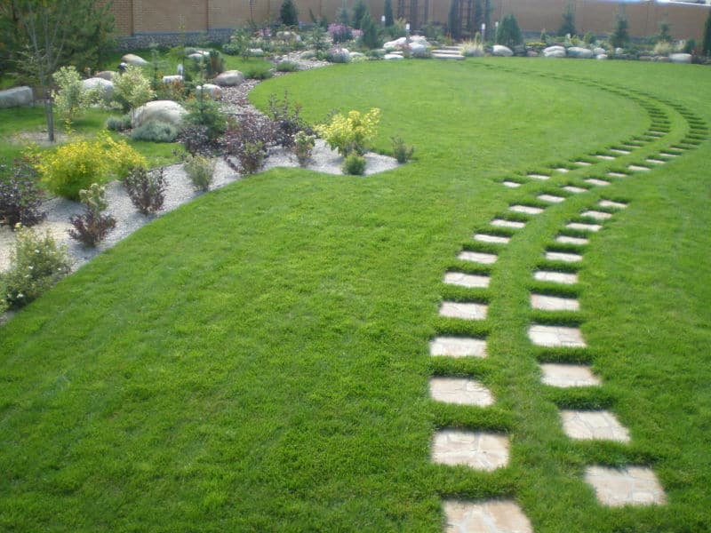 How to make a lawn