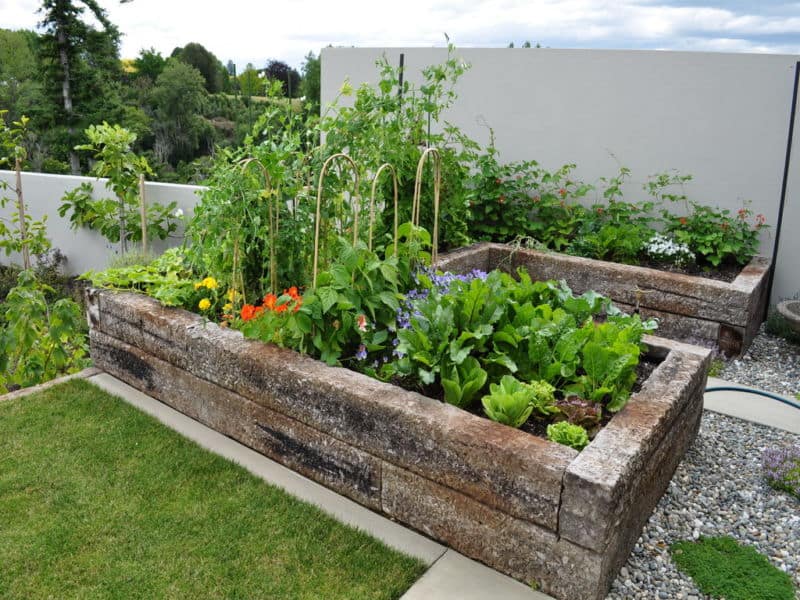 simple-edible-gardening-ideas