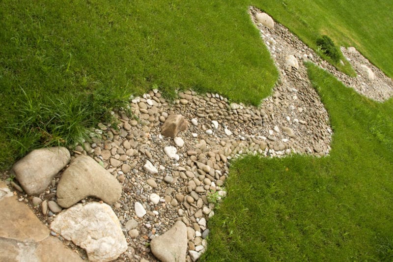 Dry creek on green lawn
