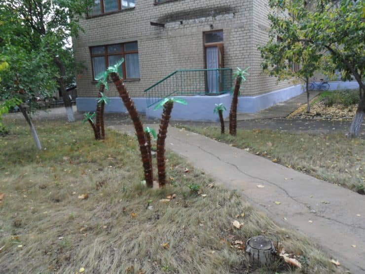 Пальма из бутылок - как сделать стильное украшение из пластиковой тары (67 фото + видео)