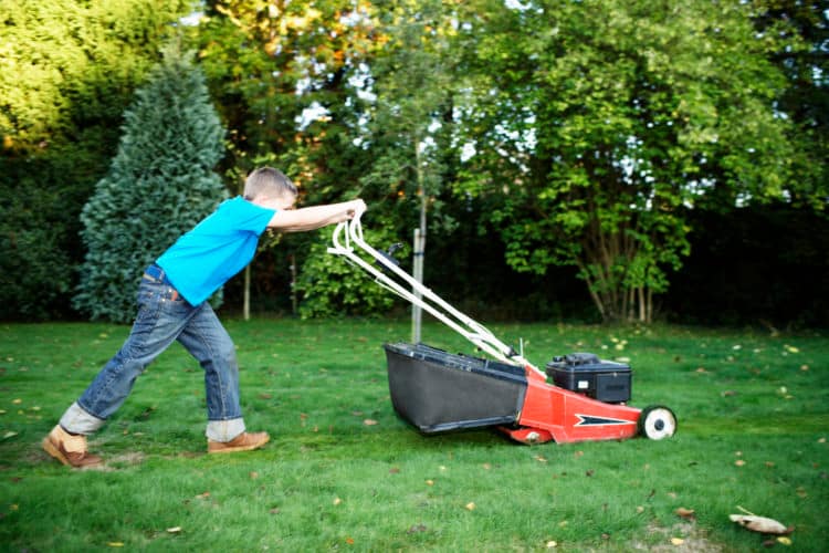 Boy (7-9) pushing lawnmower, side view
