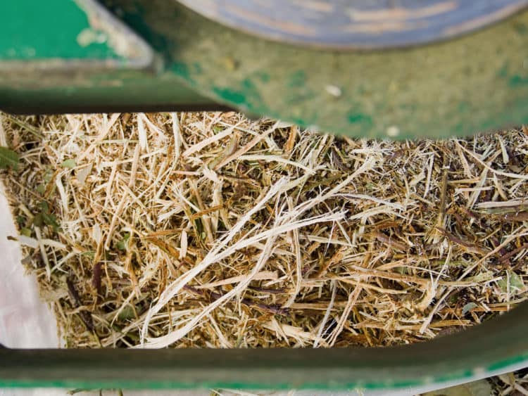 Resultant chippings from a garden mulcher.