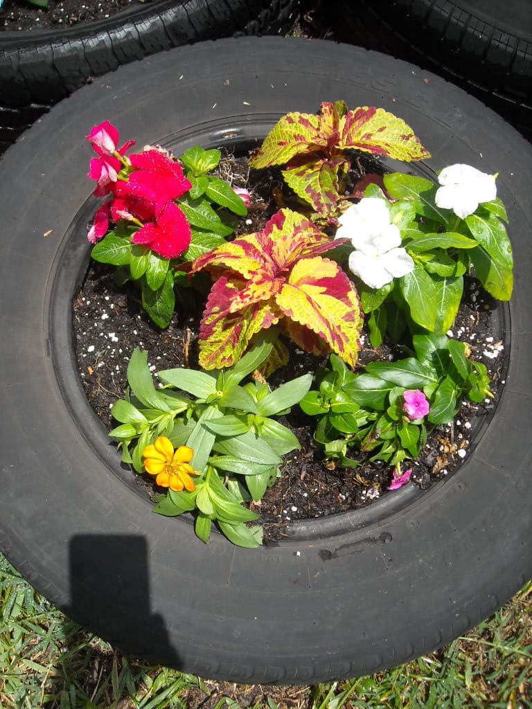 donoemgarden-004