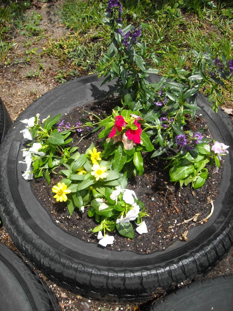 donoemgarden-005
