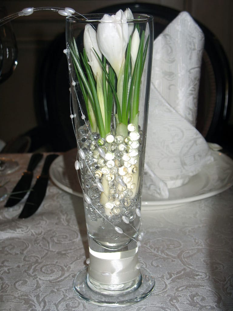 white-crocus_enl