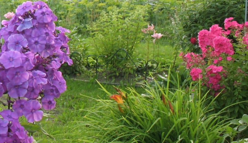maxresdefault