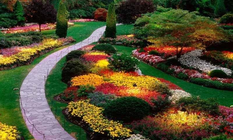 backyard-landscaping-designs-with-cozy-seat-heplu-small-back-yard-landscape-design