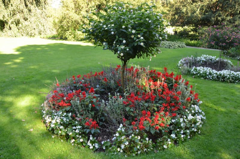 ring-garden