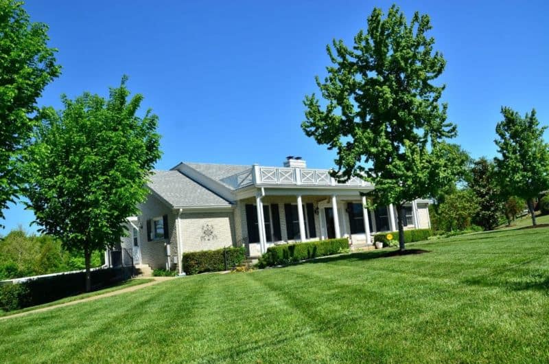 how-to-control-lawn-diseases-1