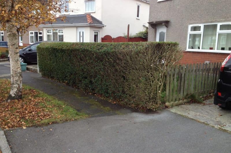 hedge-trimming-colne-3-1170x780
