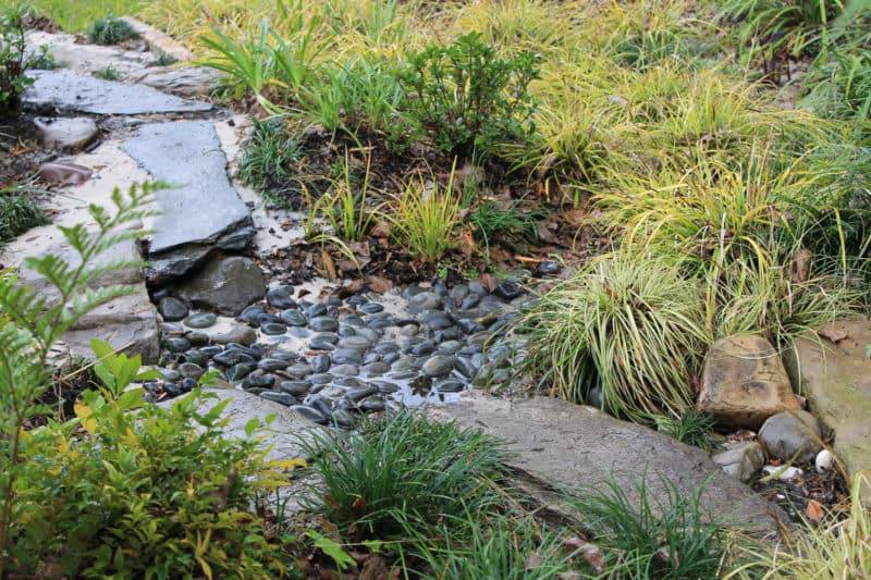 dry-creek-pool