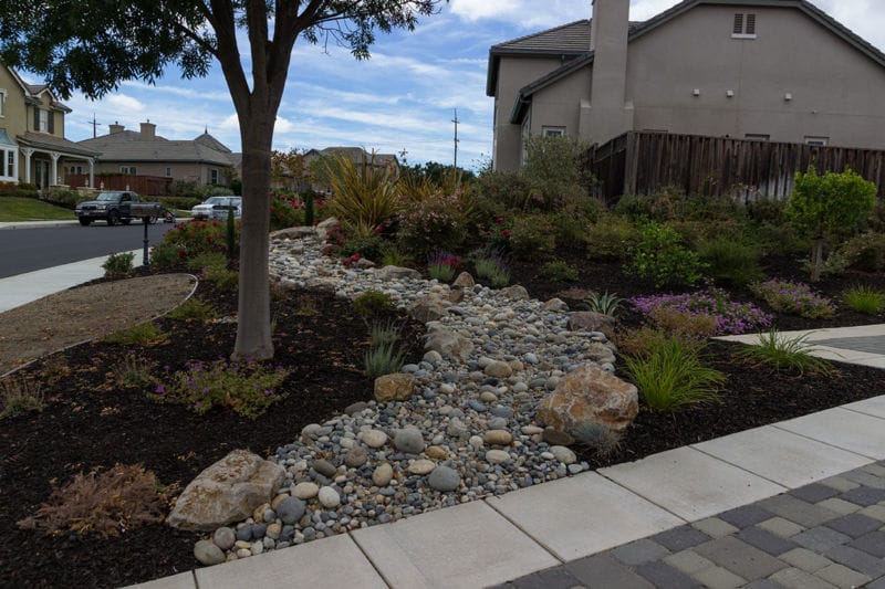 drycreek_20