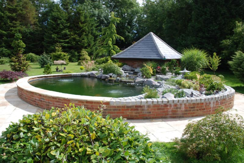 1346138620_pond_1a