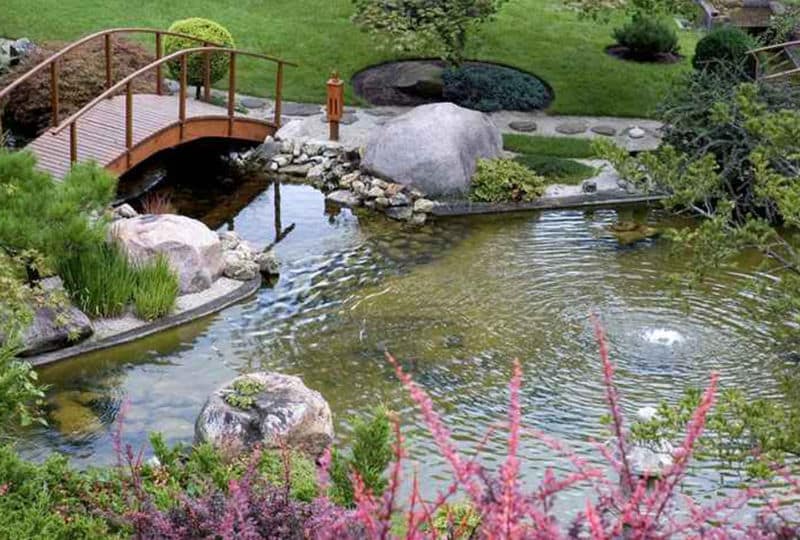 Beautiful and peaceful Japanese water garden. Complete with a bridge and several small waterfalls.