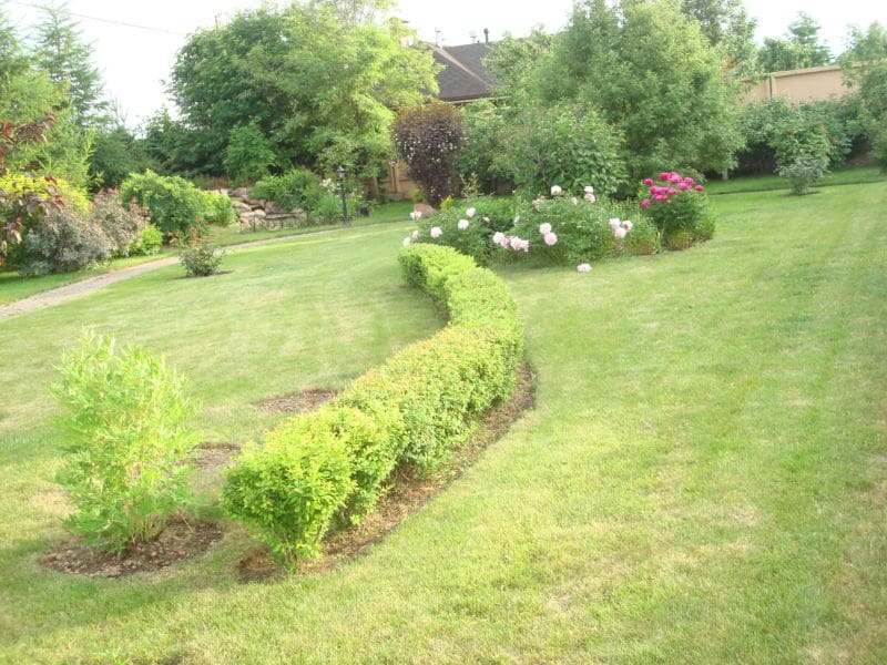 dsc03920