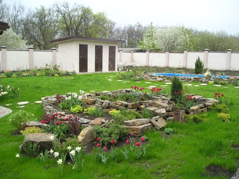 foto19