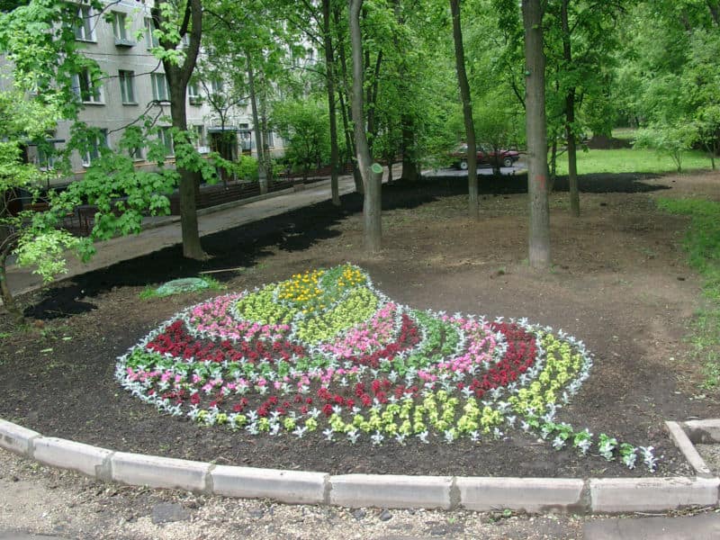 landshaftnii_dizain_klymbi_5