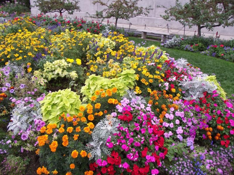 DSCF1662