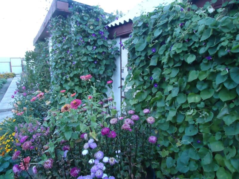 dsc02388