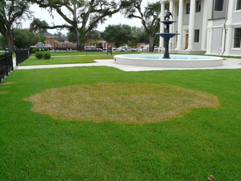 courthouse-takeallpatch-003