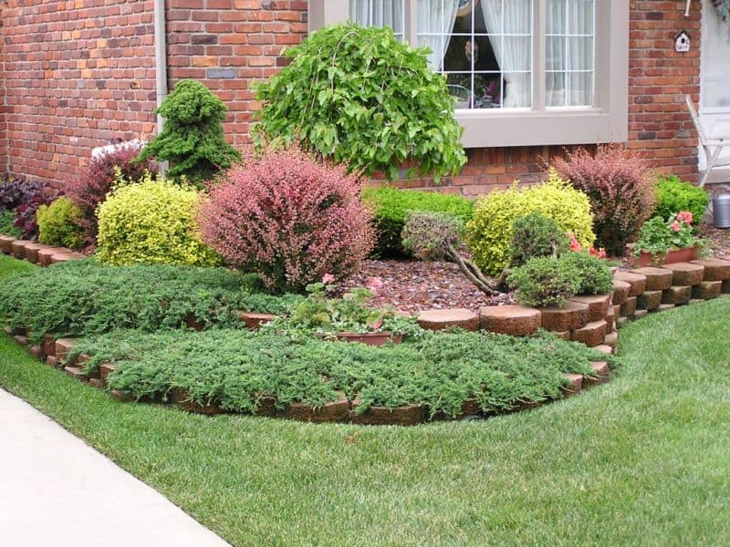 trees-and-shrubs-5
