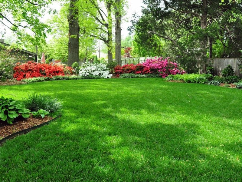 lawn1