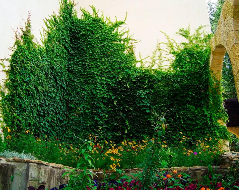 dsc00126080