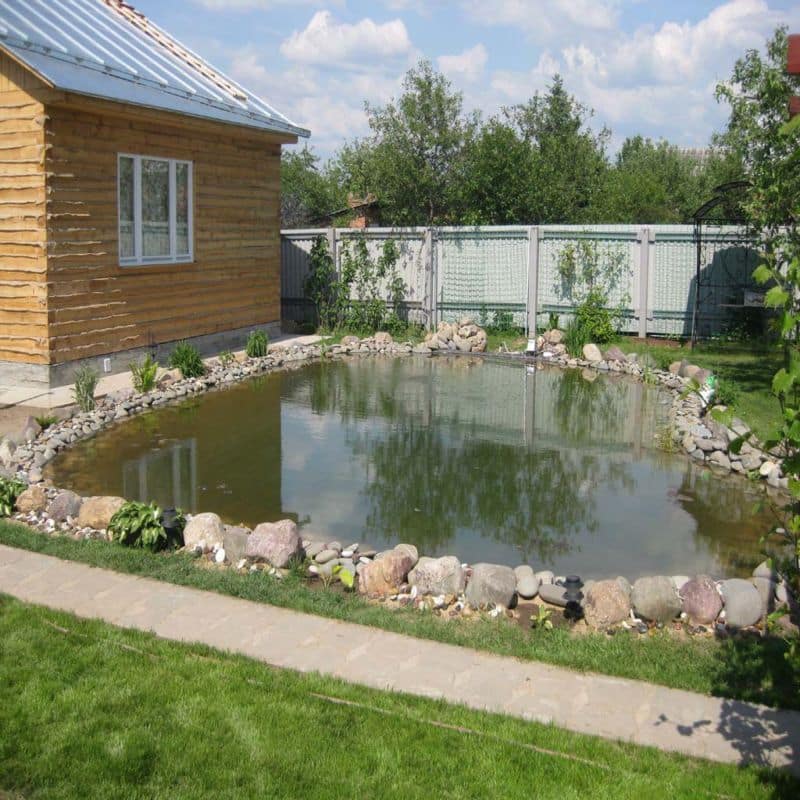Пруд для рыбы на загородном участке
