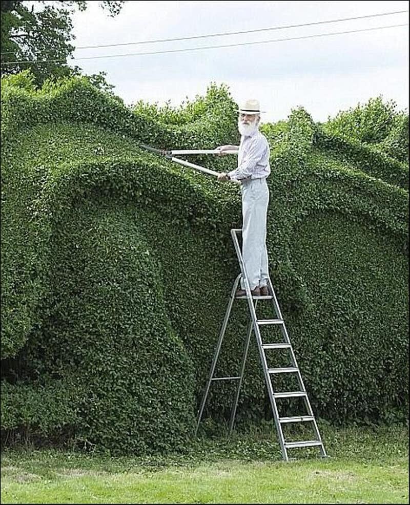 dragon-v