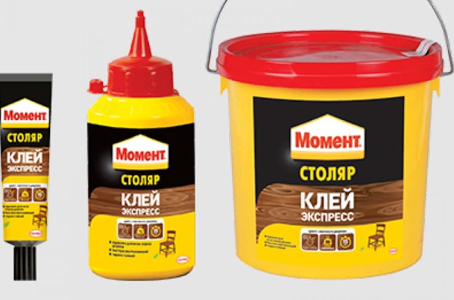 Как сделать беличью кормушку и какое угощение положить для ее гостей